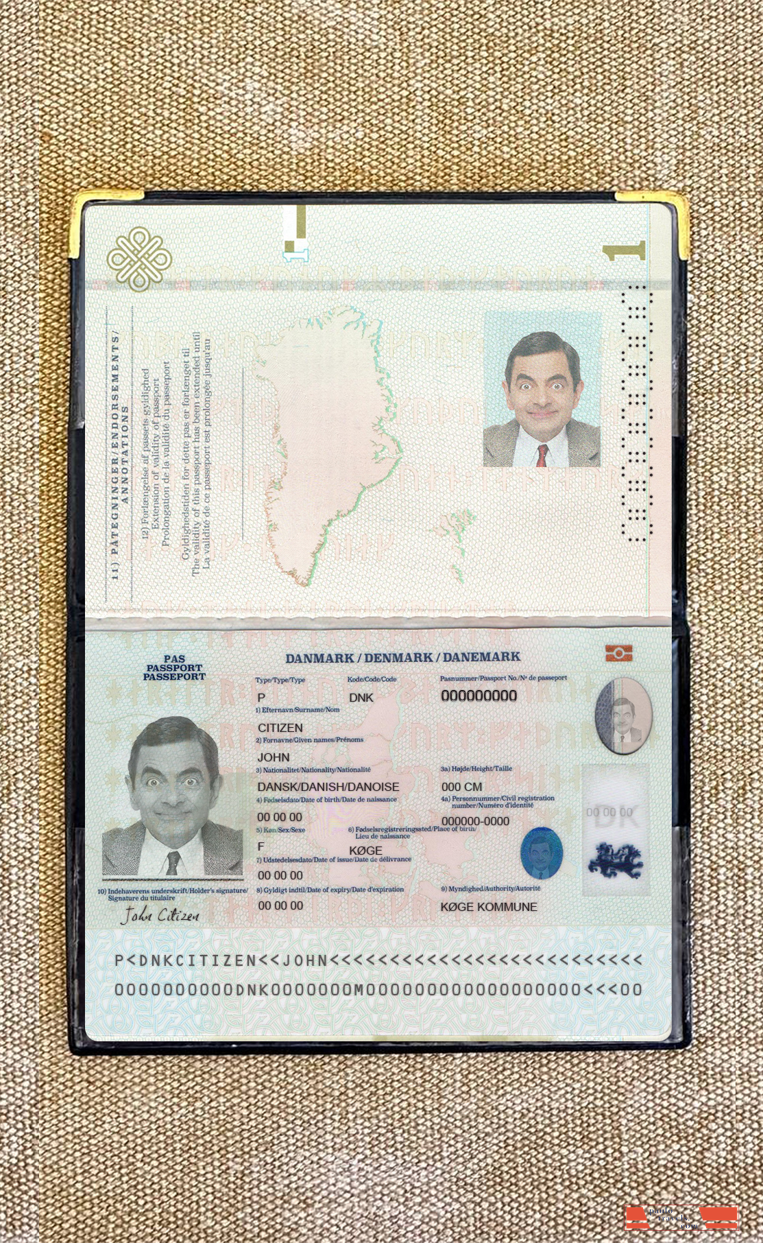 Denmark passport 2022 present photolook PSD template